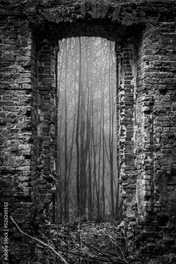 Fototapeta premium ruins in forest