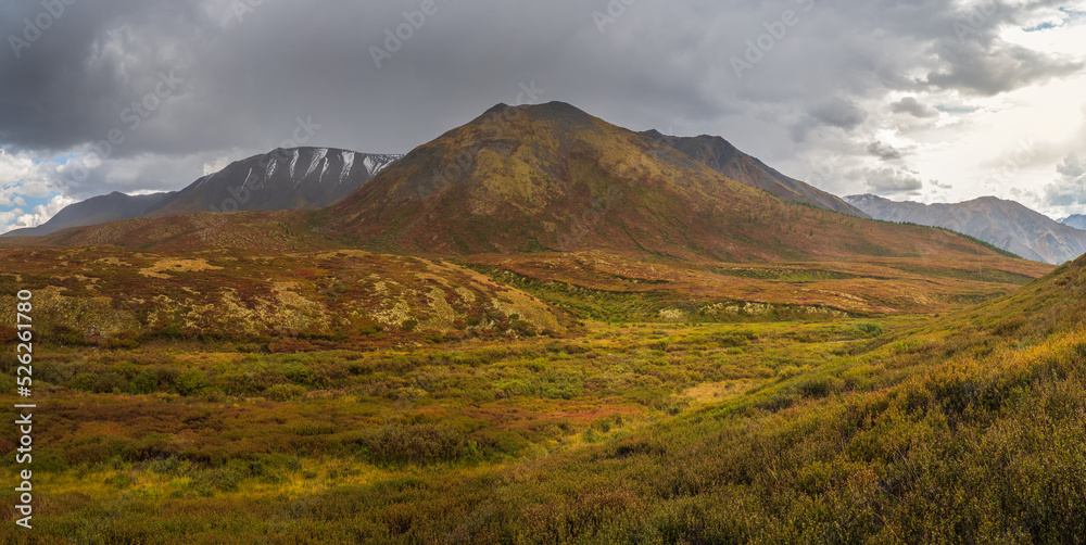 Dramatic rainy alpine landscape with autumn golden valley and dark sharp pinnacle in low clouds. Rocks in overcast weather. Atmospheric awesome view to pointy mountain in low clouds.