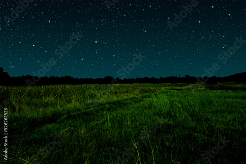 Starry night in grassland.