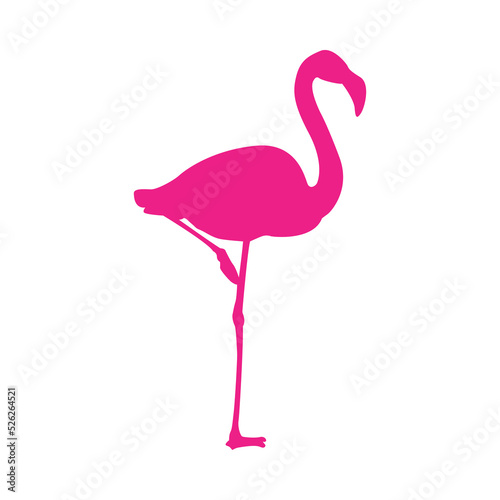 Logo flamingo. Silueta de flamenco de pie aislado en color rosa
