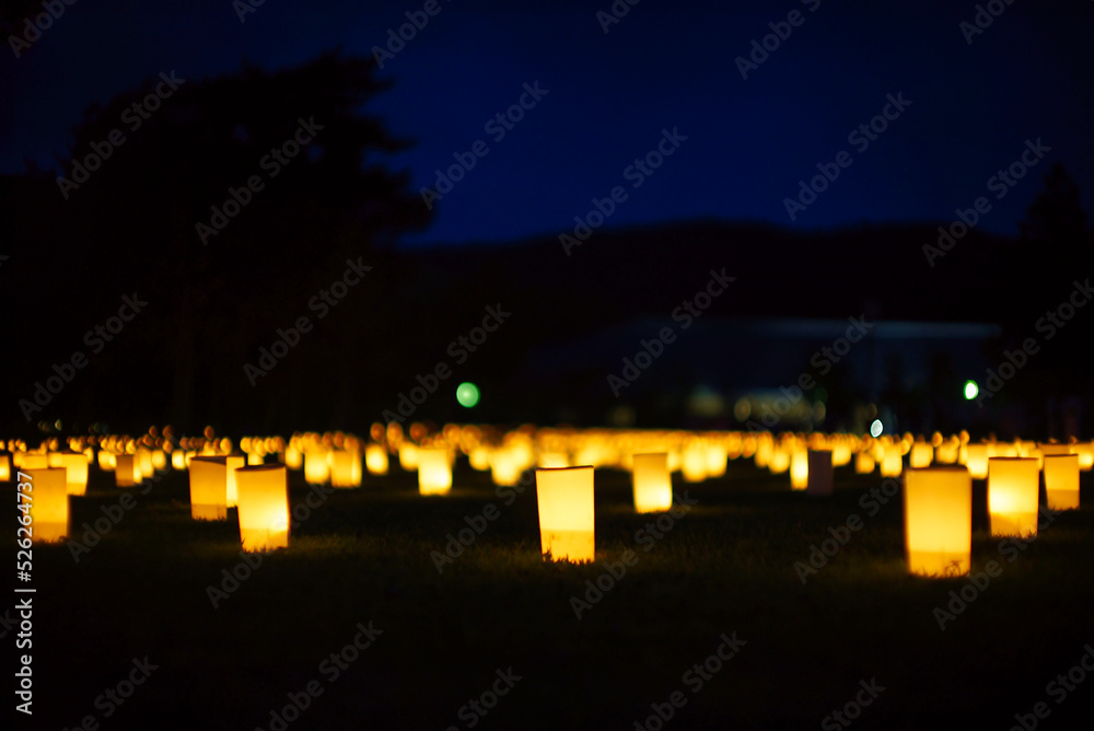 Εκτύπωση καμβά 奈良　ろうそく　nara　candle