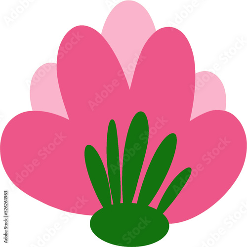 element pink flower