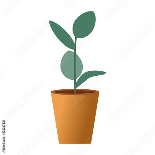 vector plant tree for decorate, growing plant tree, nature leave, green plant in door