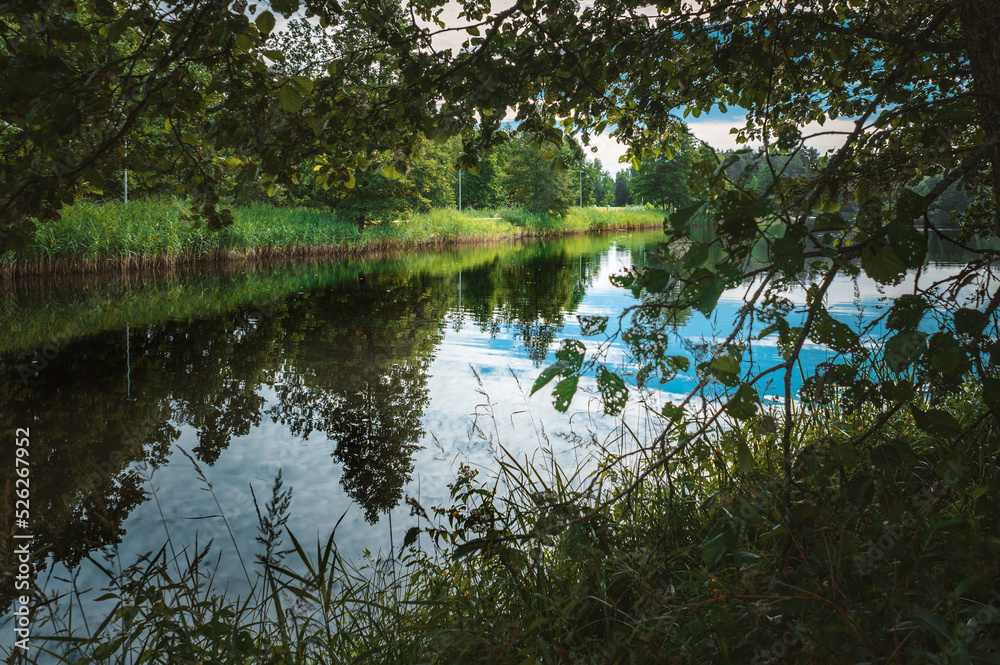 Amazing lakeside view from a small lake in Latvia, with lush green trees, blue sky and sunlight Amazing lakeside view from a small lake in Latvia, with lush green trees, blue sky and sunlight