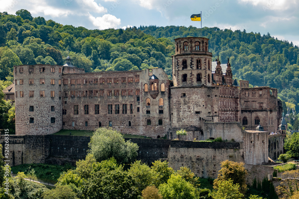 Obraz premium Heidelberg, Germania
