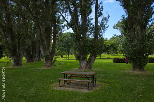 Fototapeta Naklejka Na Ścianę i Meble -  Resting place in Lheidli T'enneh Memorial Park in Prince George in British Columbia,Canada,North America
