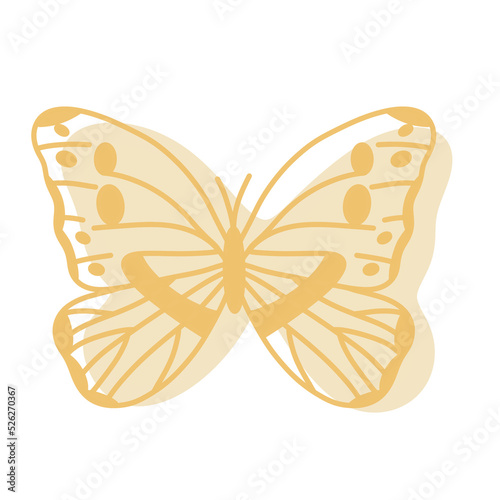 Boho Butterfly Illustration © Donlaphorn