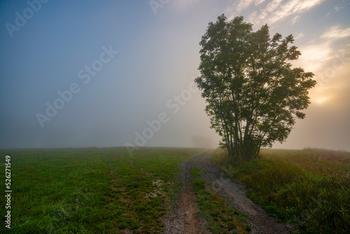 landscape in fog - mystical foggy autumnal day with sunrise