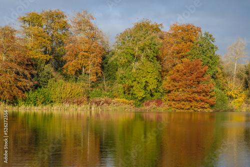 Autumn colours, trees reflected in lake