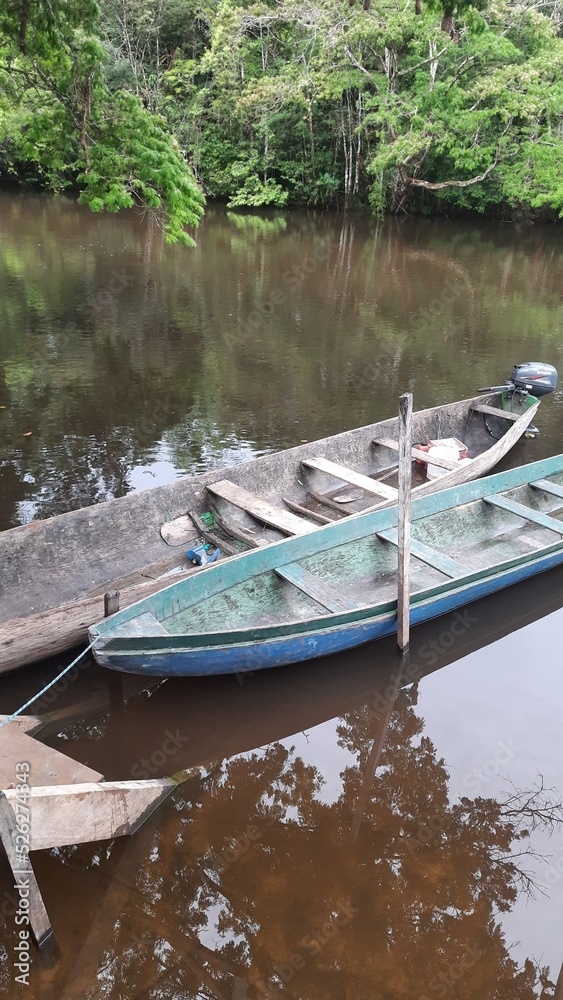 Canoas de ribeirinhos usadas na Amazônia 