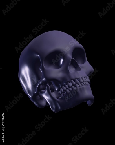 human skull on black