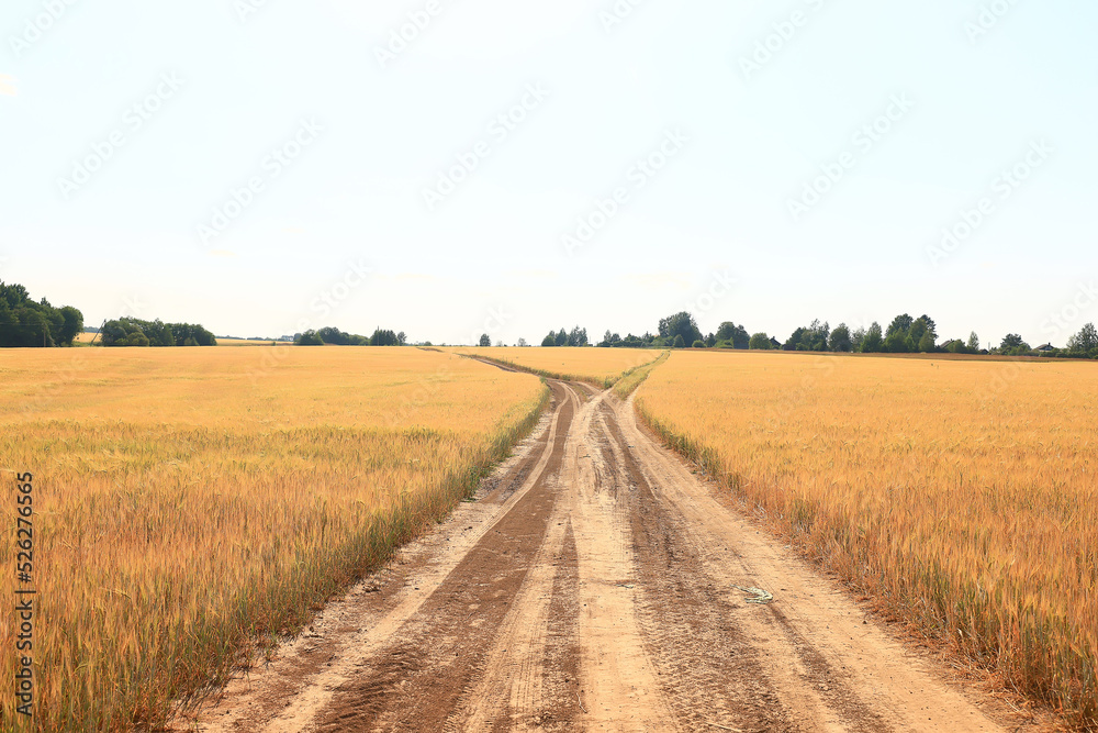 summer road in the field landscape nature meadow
