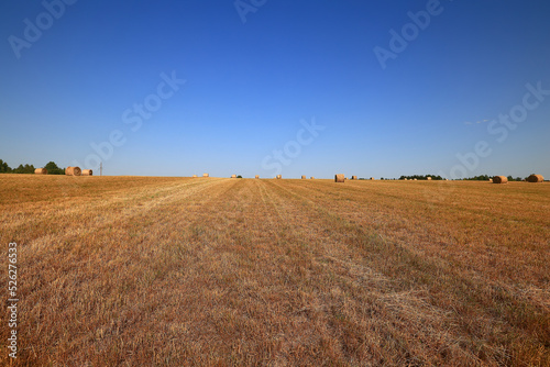 hay roll landscape nature summer farming