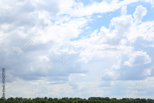 Fototapeta Naklejka Na Ścianę i Meble -  Picturesque view of trees and blue sky with fluffy clouds