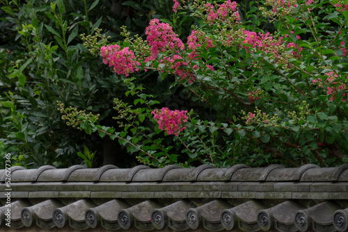 瓦のある塀と赤い百日紅