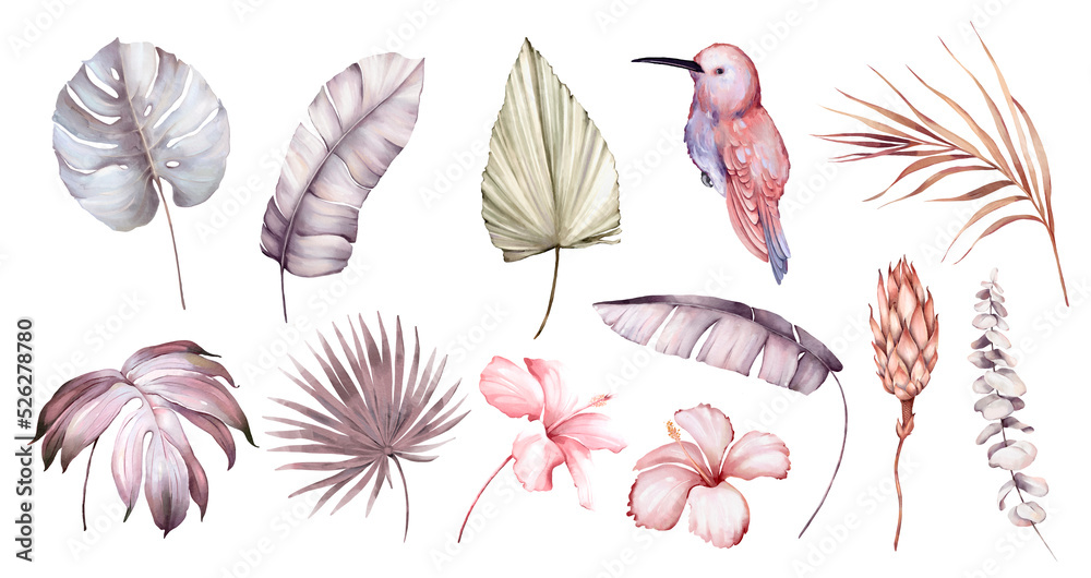 Watercolor set with flowers and birds, tropical leaves, palm leaves, hibiscus flowers, Hummingbird. High quality illustration