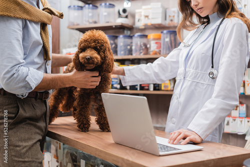 Cropped view of veterinarian using laptop near man and poodle in pet shop