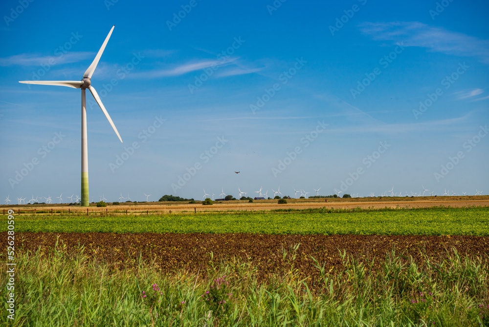 Wind Turbines standing on farmland in Germany's North Sea region Wind Turbines standing on farmland in Germany's North Sea region