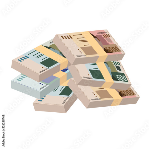 Pakistan Rupee Vector Illustration. Pakistani money set bundle banknotes. Paper money 500, 1000, 5000 PKR. Flat style. Isolated on white background. Simple minimal design.