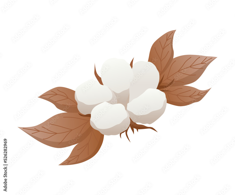 Cotton flower icon. Soft white plant for production of organic fabric. Cartoon eco friendly and organic symbol Cotton flower icon. Soft white plant for production of organic fabric. Cartoon eco friendly and organic symbol