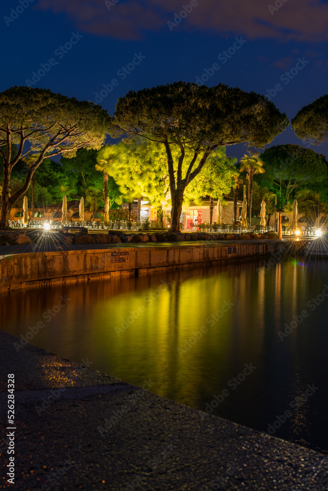 Fototapeta premium trees in the harbour at night