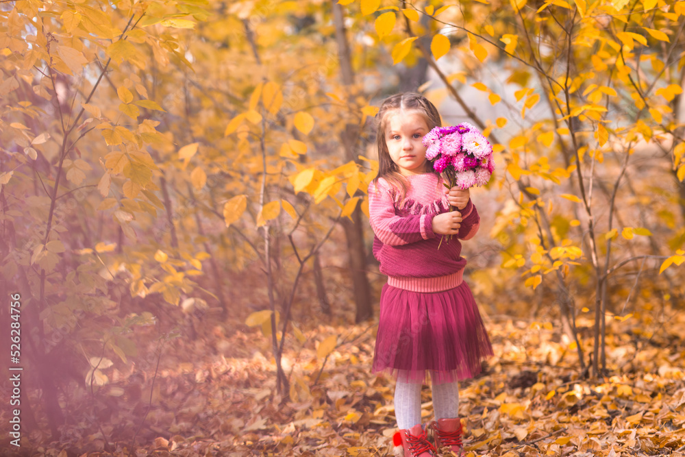 Cute little girl in autumn park with pink flower bouquet. Cute little girl in autumn park with pink flower bouquet.