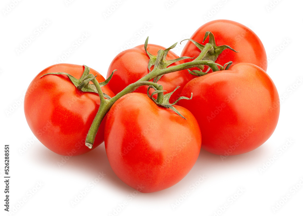 tomato path isolated on white tomato path isolated on white