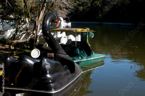 photograph of the pedalboats on the lake photo