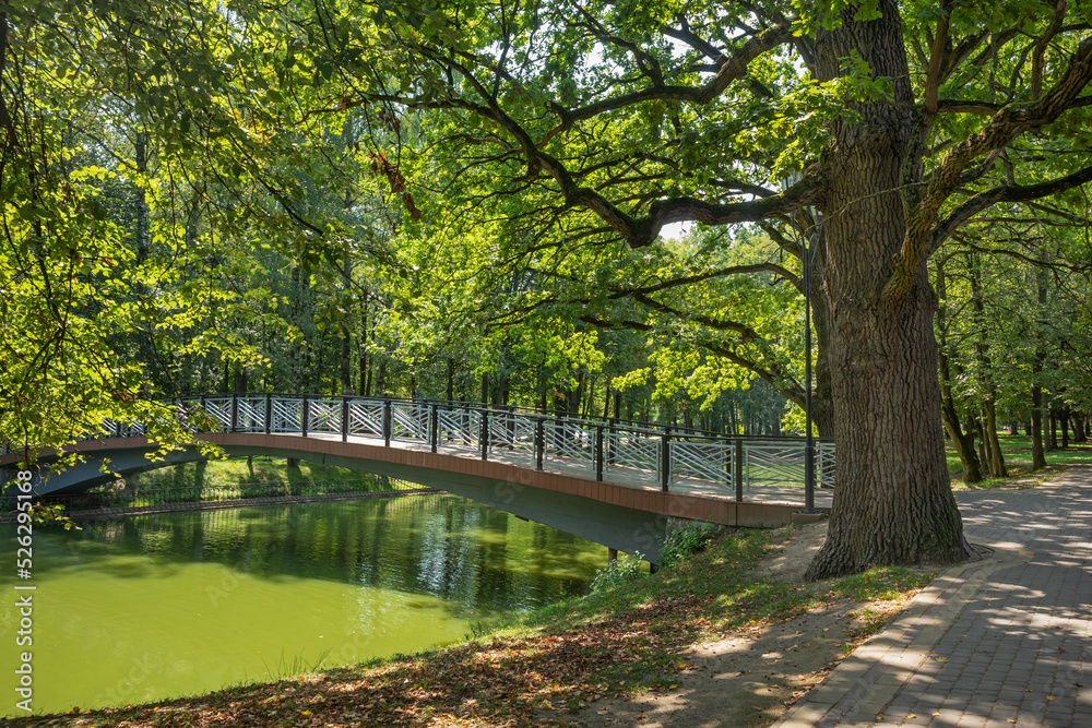 Pedestrian bridge over a pond in the city garden next to a large tree. Summer sunny day in the Ivano-Frankivsk city, Ukraine