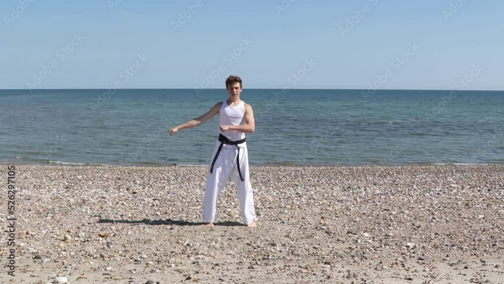 Teenage Black Belt Martial Artist Doing Karate on A Beach Teenage Black Belt Martial Artist Doing Karate on A Beach