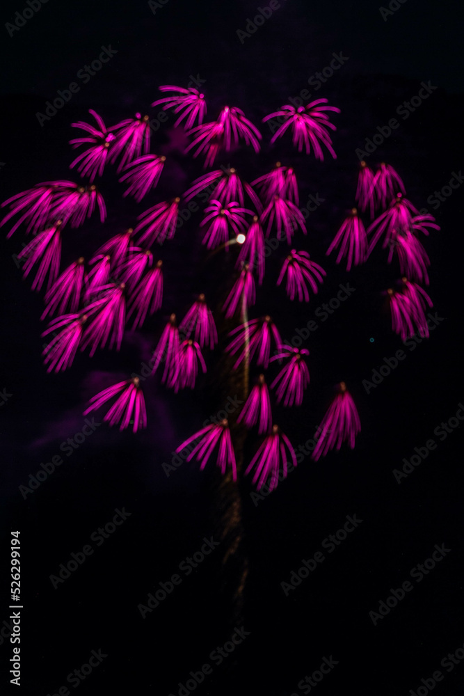 シンプルな花火