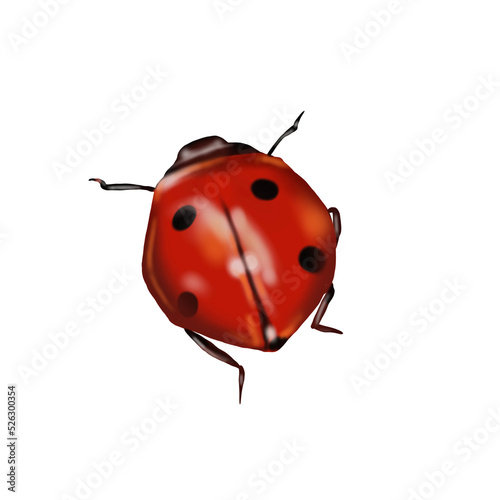 Watercolor ladybug. Realistic illustration on a transparent background © NNclipart