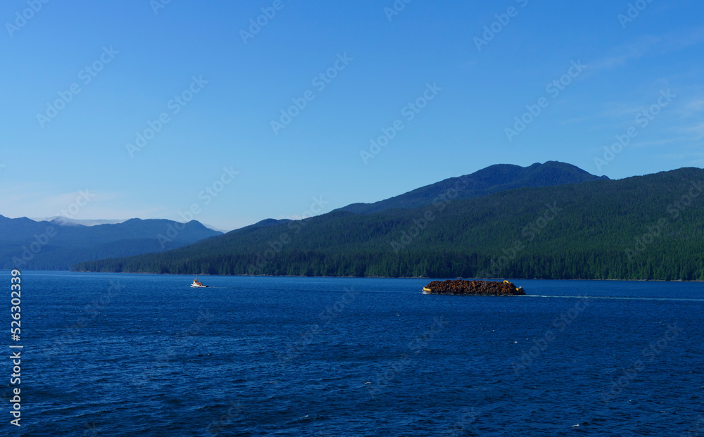 Tugboat towing barge with  fresh cut logs on Inner Passage, near Bella Bella, BC, with mountain backdrop
.