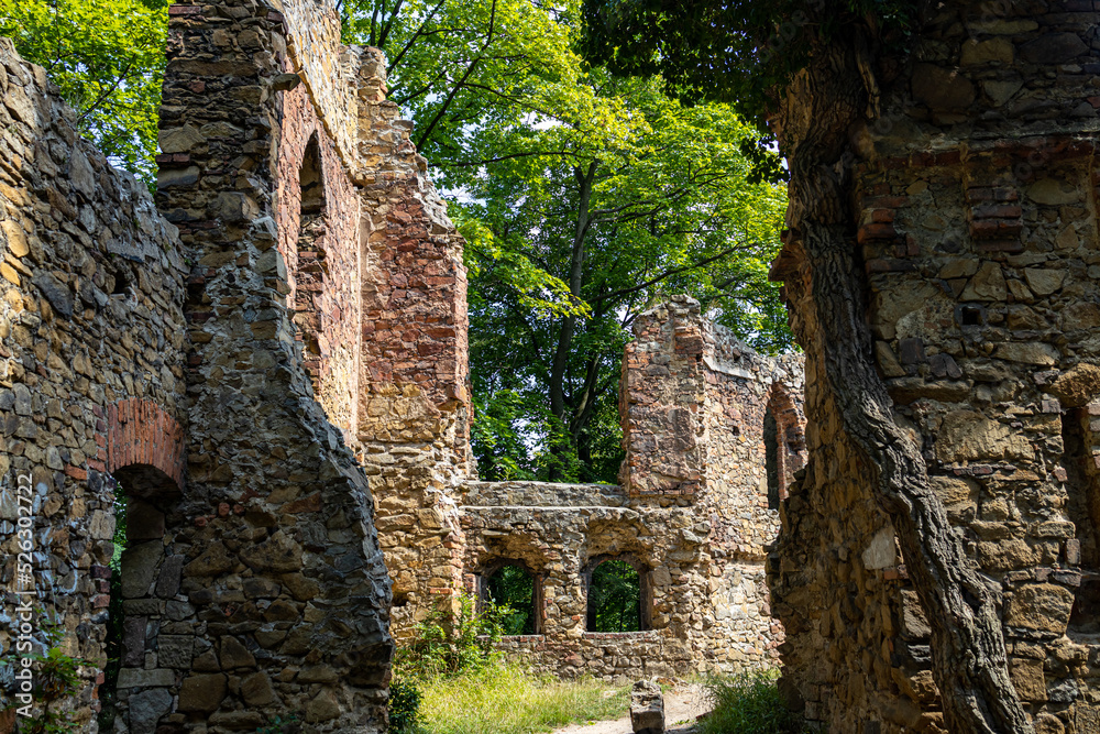 Stary Książ , ruiny zamku w Książu , Hohbergowie.
