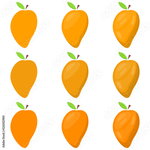 A vector drawn mango illustration with various colors and amount of details