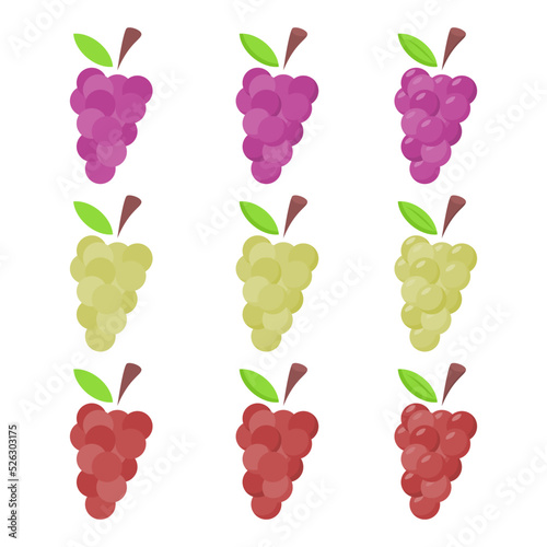 A vector drawn grape illustration with various colors and amount of details