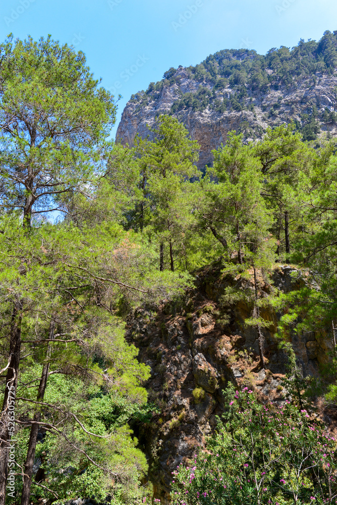 Fototapeta premium Wanderweg durch die Samaria-Schlucht in Kreta/Griechenland