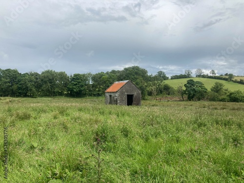 Isolated wellhouse at Cloonamahon native woodland park, co. Sligo, Ireland