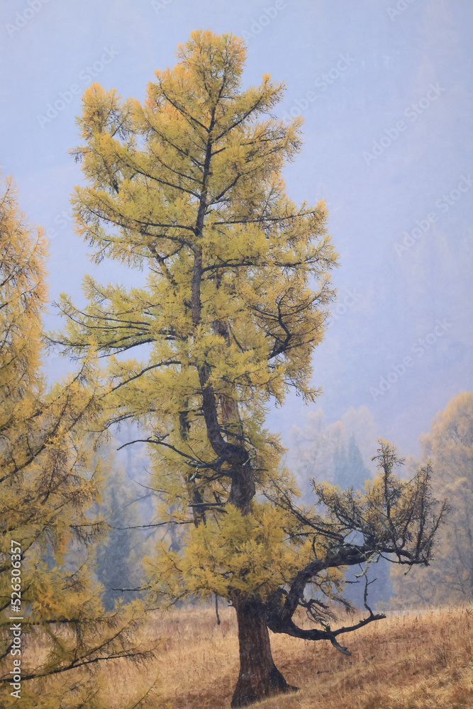 wallpaper autumn landscape mountain altai, freedom romantic trip wallpaper autumn landscape mountain altai, freedom romantic trip