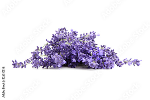 Lavender flowers closeup isolated on white