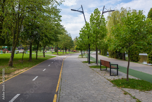 Bicycle path, jogging path and pedestrian alley in the city park on the lake on a summer day