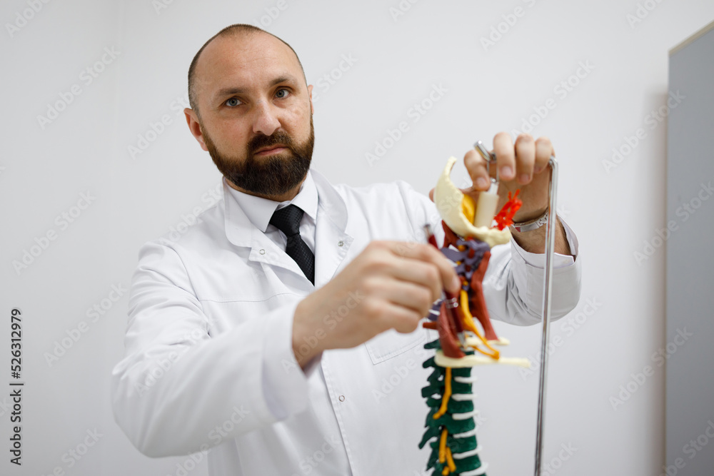 Orthopedic doctor showing anatomical spine model Orthopedic doctor showing anatomical spine model