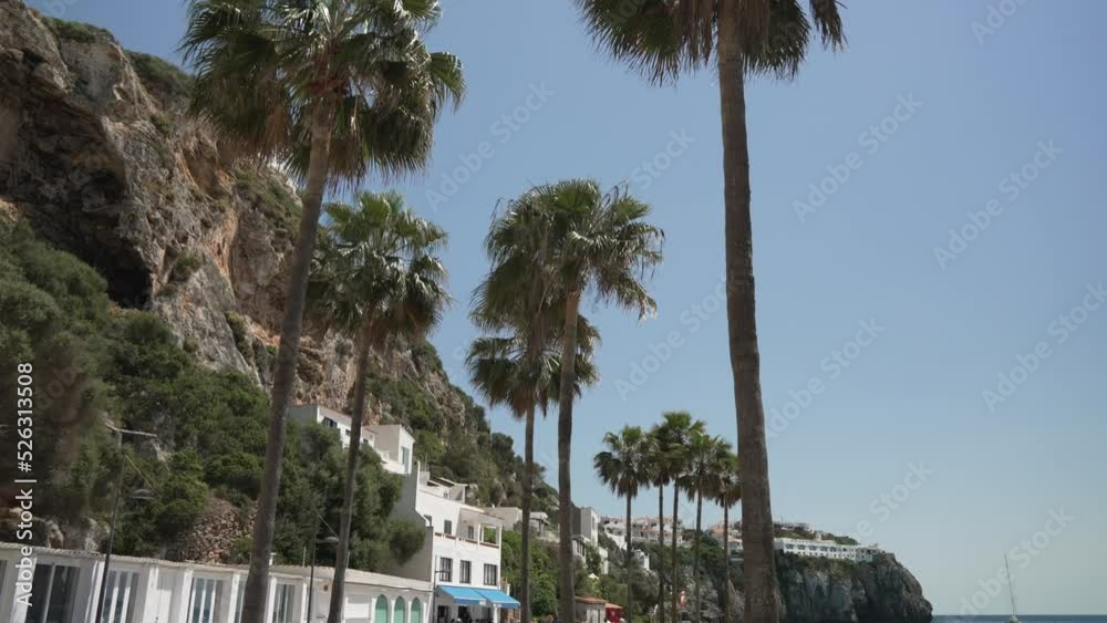 Tall palm trees and beach at Cala en Porter, Menorca, Balearic Islands
