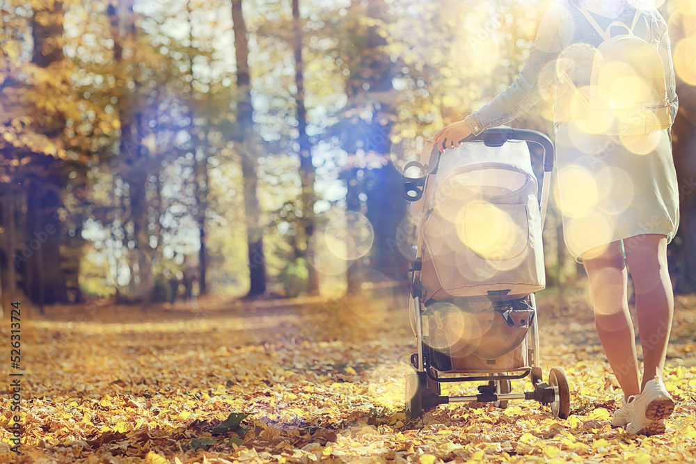 stroller view from the back legs, mom walk autumn abstract background fragment stroller view from the back legs, mom walk autumn abstract background fragment