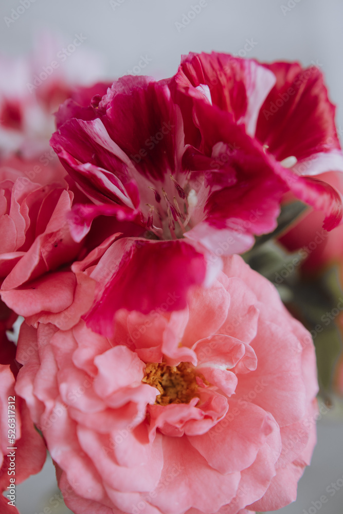 cute bouquet compliment closeup in pink colors, roses and pink flowers cute bouquet compliment closeup in pink colors, roses and pink flowers