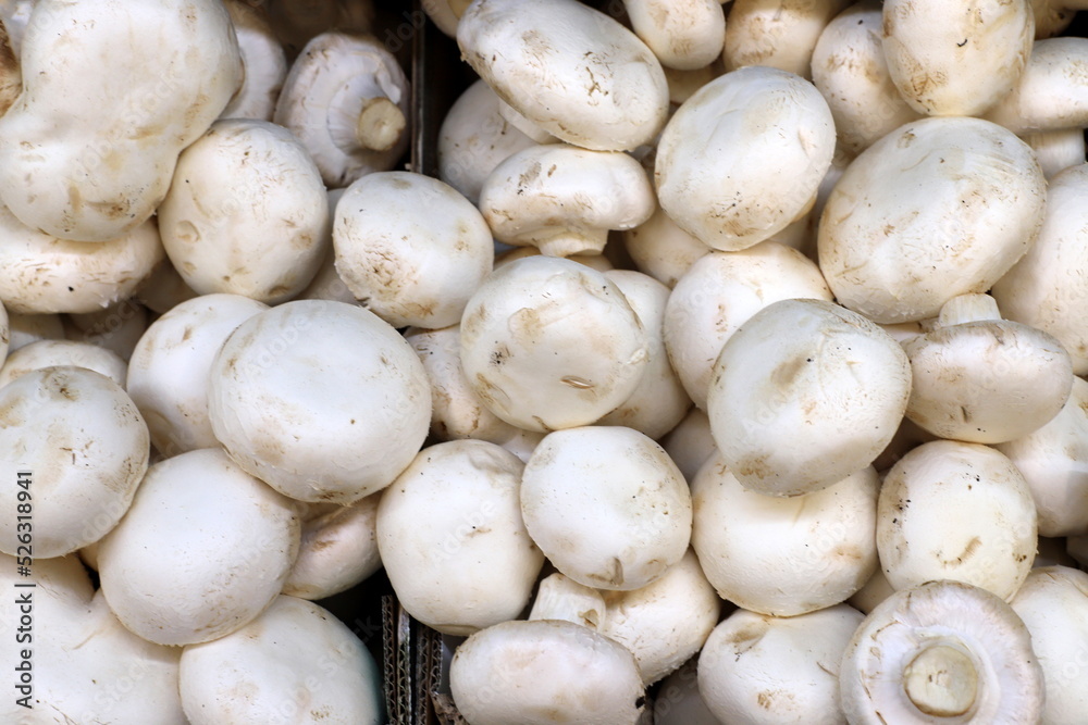 Vegetables and fruits are sold at a bazaar in Israel. Vegetables and fruits are sold at a bazaar in Israel.