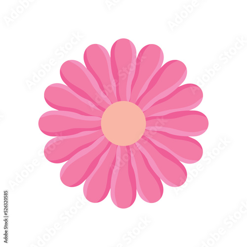 pink flower garden