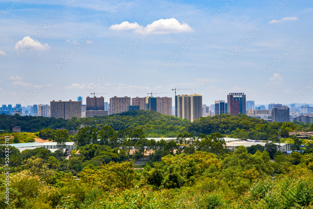 Large-scale greening and buildings in the city