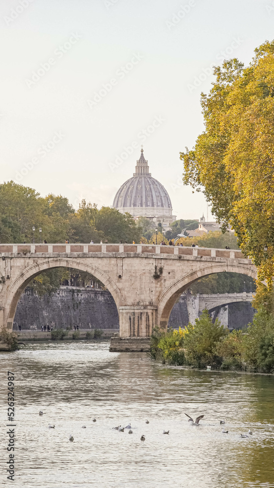 Fototapeta premium Vatican from the Tiber