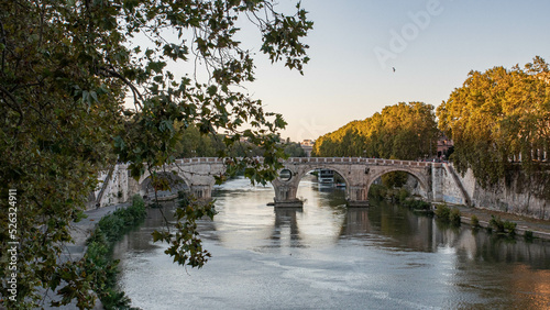 Tiber River Life